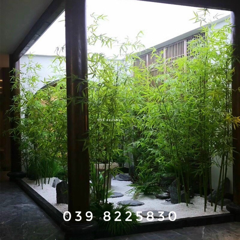 cây trúc giả