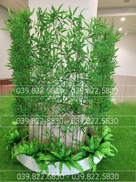 cây trúc giả