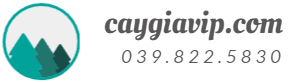 caygiavip.com