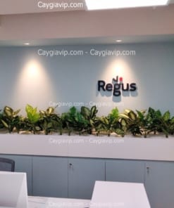 Bục Cây Giả Quận 6 TPHCM