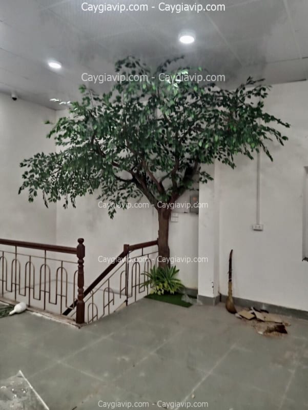 Cây Cổ Thụ Giả Cao 3m Cây Cổ Thụ Giả Cao 3m