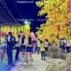 Cây Cổ Thụ Giả Hoa Vàng