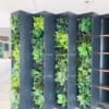 Cây Giả Dán Tường Đẹp