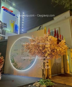 cay-hoa-anh-dao-gia-decor-su-kien