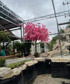 Cây Hoa Anh Đào Giả Trang Trí Hồ Cá Koi