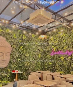 Cây Nhựa Dán Tường