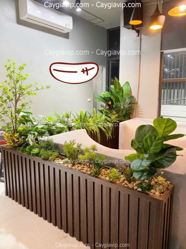 Hộp Cây Giả Giá Rẻ HCM