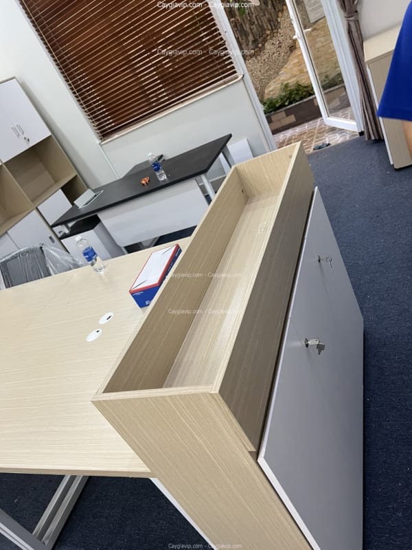 Hộp Cây Giả Giá Rẻ HCM