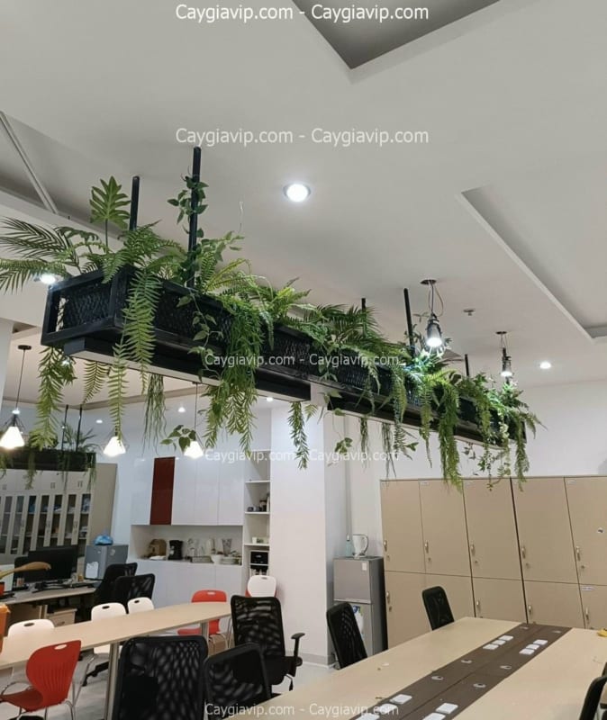 Hộp Cây Giả Giá Rẻ HCM