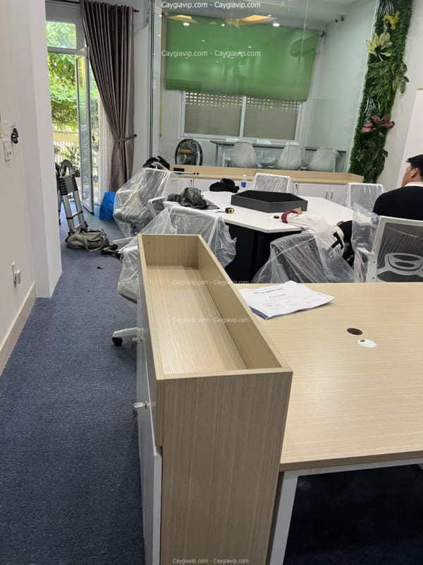 Hộp Cây Giả Giá Rẻ HCM