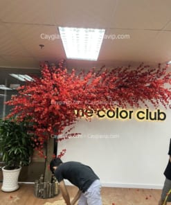 Mẫu Cây Hoa Anh Đào Hoa Đào Giả
