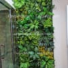 Mẫu Tường Cây Giả Nhà Phố